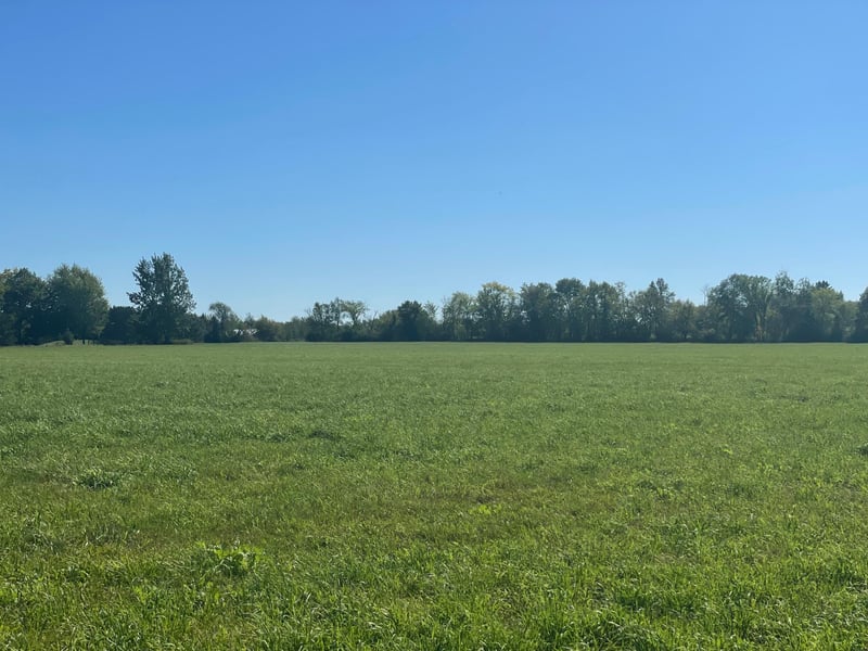 xxx 140th, Foreston, MN 56330