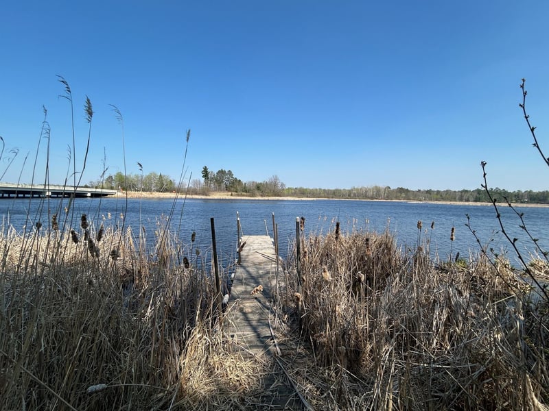 56993 County Road 29, Northome, MN 56661