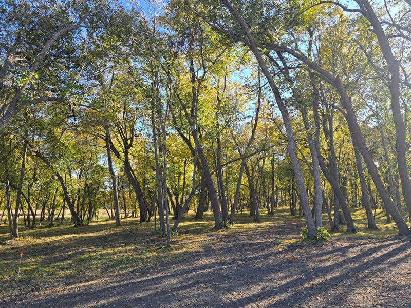 Tract B Blybergs Ln, Pelican Rapids, MN 56572