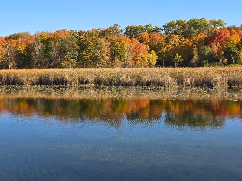 Tract K Blybergs Ln, Pelican Rapids, MN 56572
