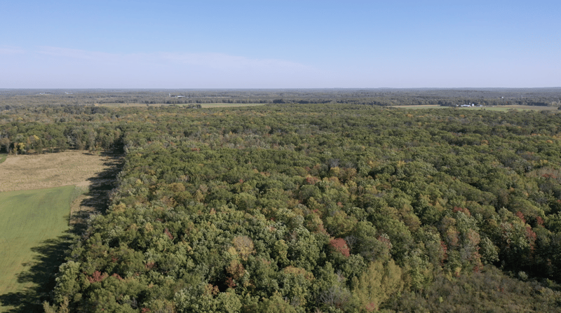 XX 305th Ave, Pierz, MN 56364
