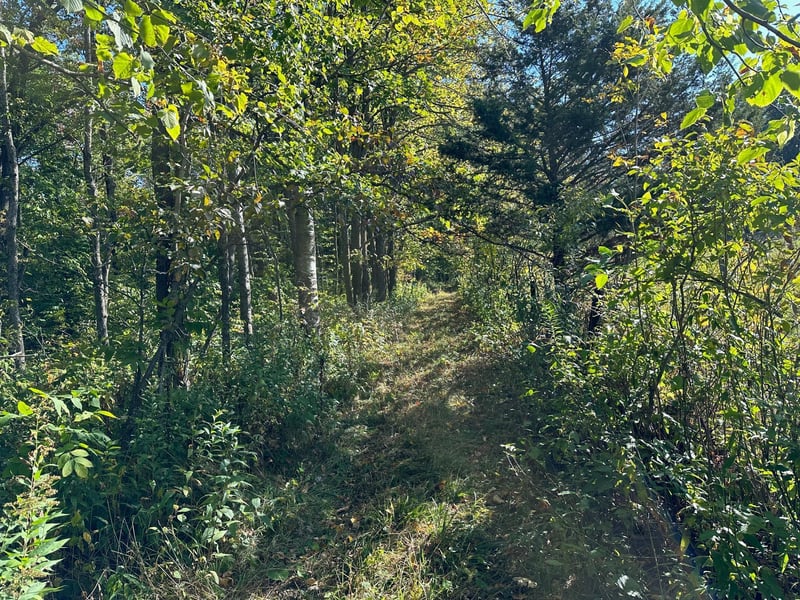 XX 305th Ave, Pierz, MN 56364