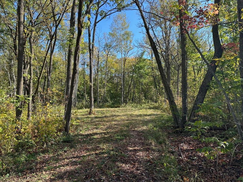 XX 305th Ave, Pierz, MN 56364