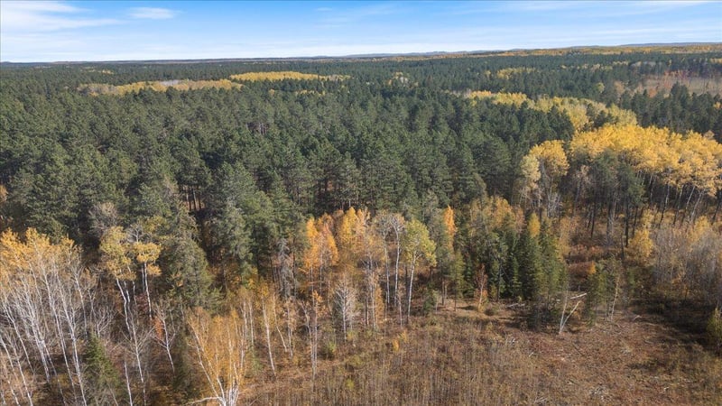XXXX Jack Pine Ln, Angora, MN 55703
