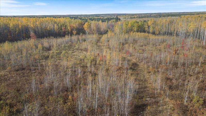 XXXX Jack Pine Ln, Angora, MN 55703