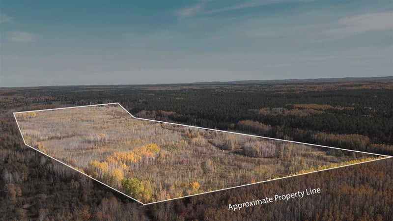 XXXX Jack Pine Ln, Angora, MN 55703