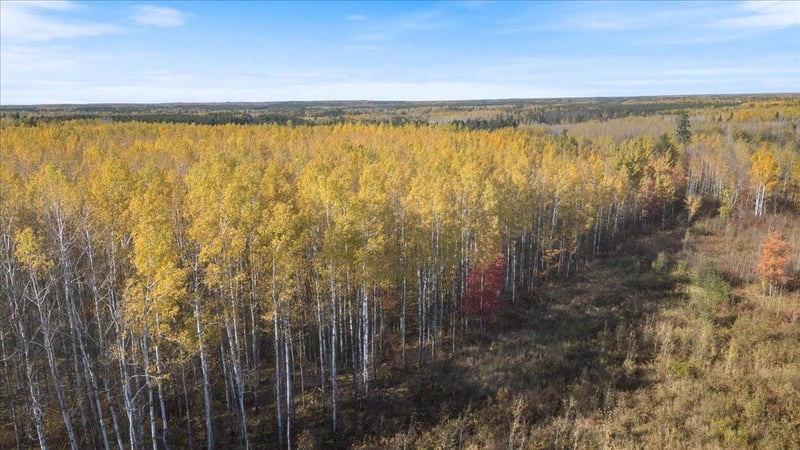 XXXX Jack Pine Ln, Angora, MN 55703