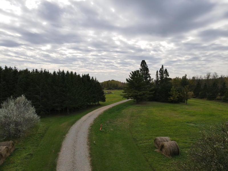 35897 State Highway 1, Effie, MN 56639