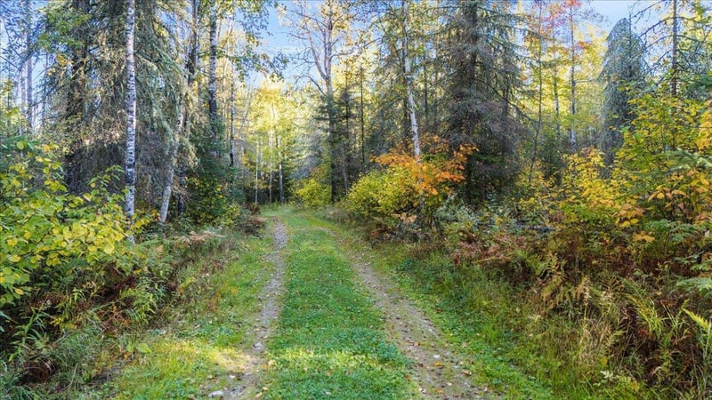867 Big Timber Trl, Ely, MN 55731