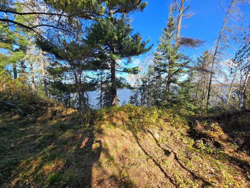 Tract 8 Brush Island, Angle Inlet, MN 56711