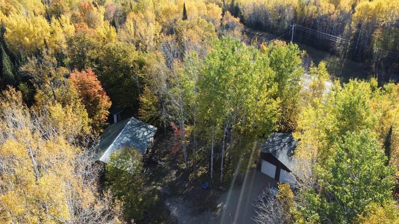 11873 Nett Lake Rd, Orr, MN 55771