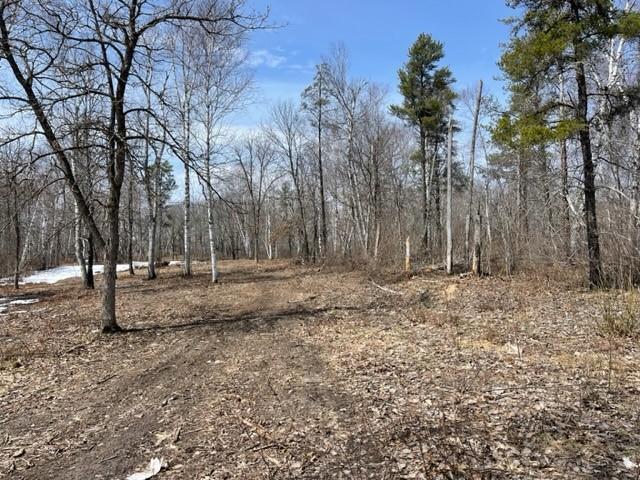 TBD Lot 5 New Manz Dr, Lake George, MN 56458