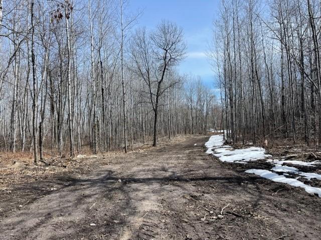 TBD Lot 6 New Paradise Point Dr, Lake George, MN 56458