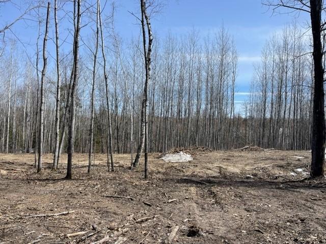 TBD Lot 6 New Paradise Point Dr, Lake George, MN 56458