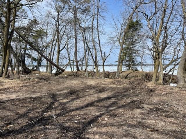 TBD Parcel D New Paradise Point Dr, Lake George, MN 56458