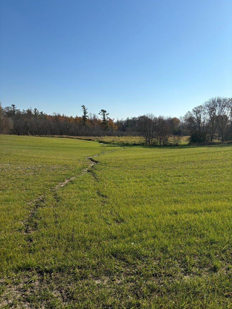380xx Variolite St NW, Dalbo, MN 55017