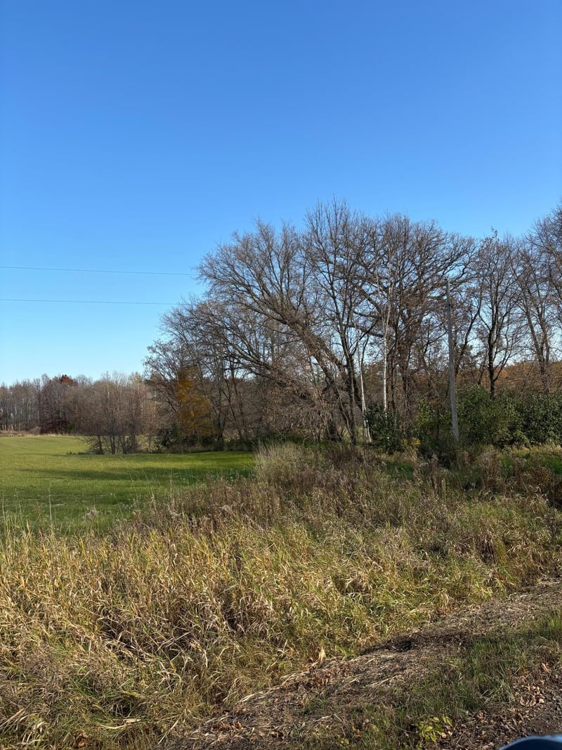 380xx Variolite St NW, Dalbo, MN 55017