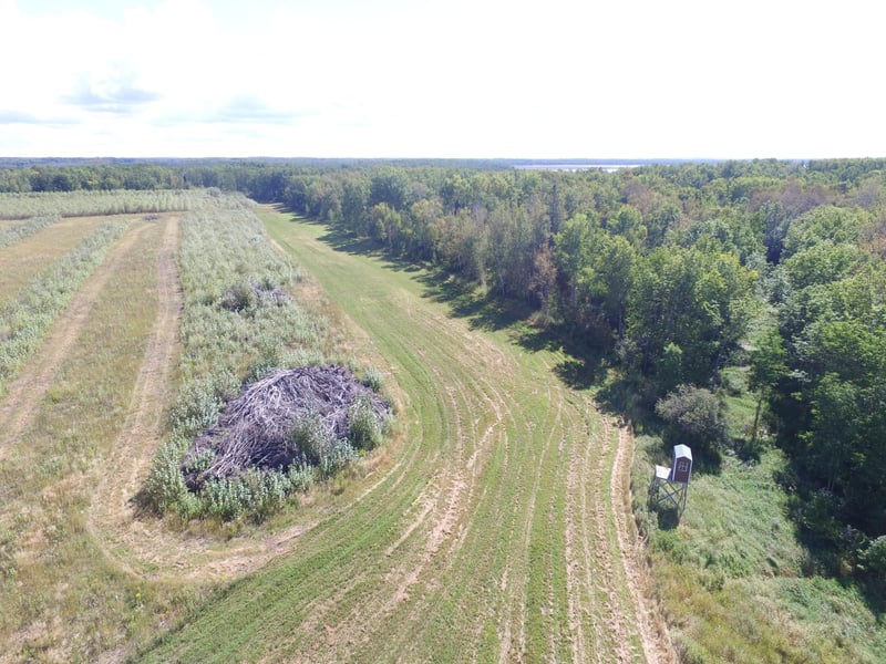 28291 Mud Lake Rd, Bagley, MN 56621