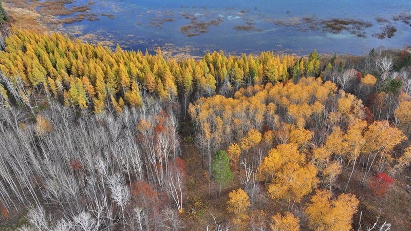 TBD New Paradise Point Drive Lot 7, Lake George, MN 56458
