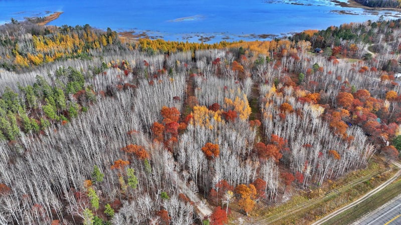 TBD County 4 Lot 10, Lake George, MN 56458