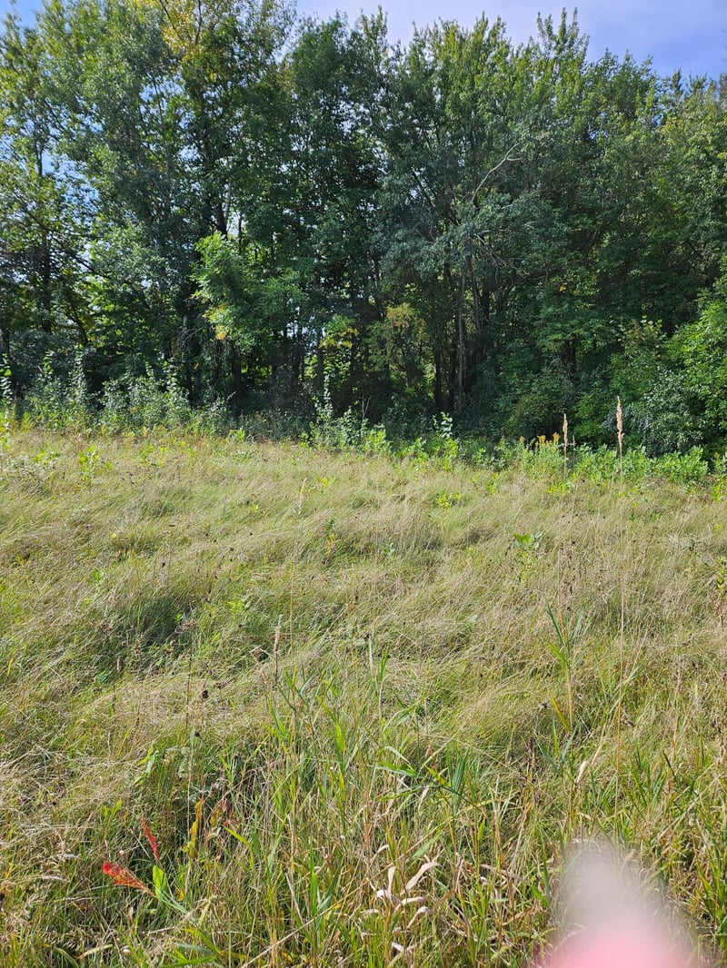 266 S Piety St, Ellsworth, WI 54011