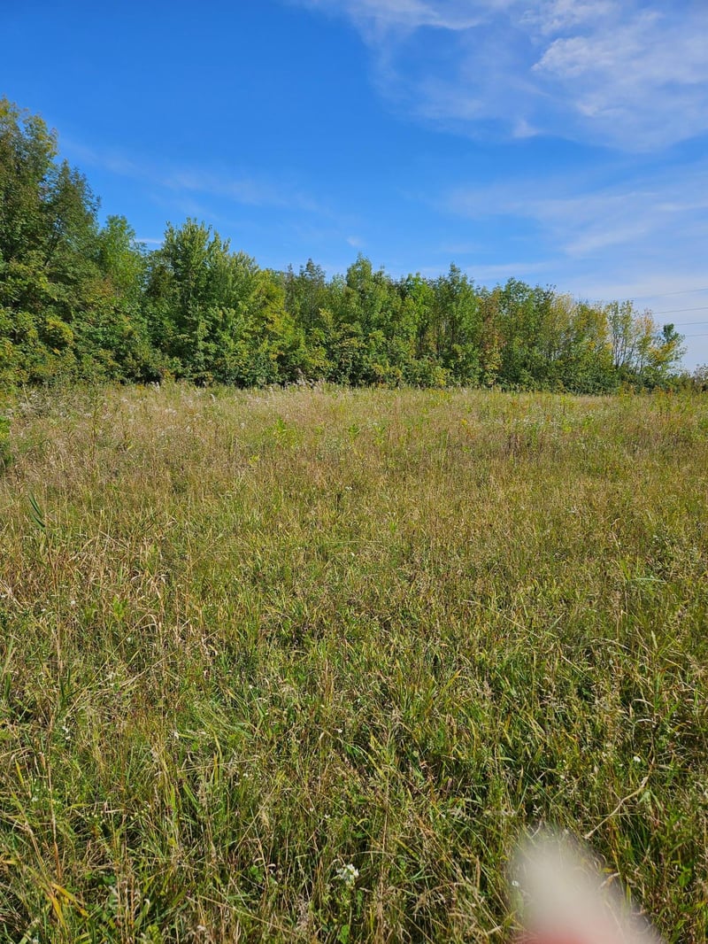 266 S Piety St, Ellsworth, WI 54011