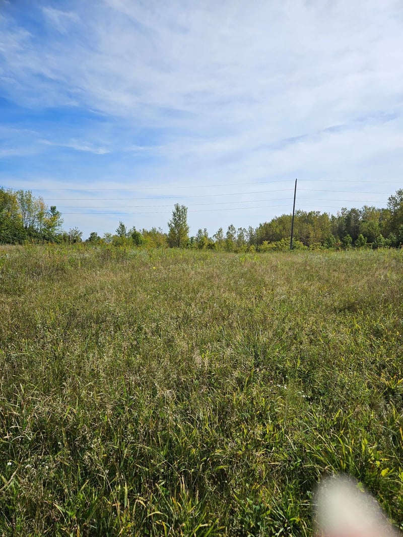 266 S Piety St, Ellsworth, WI 54011