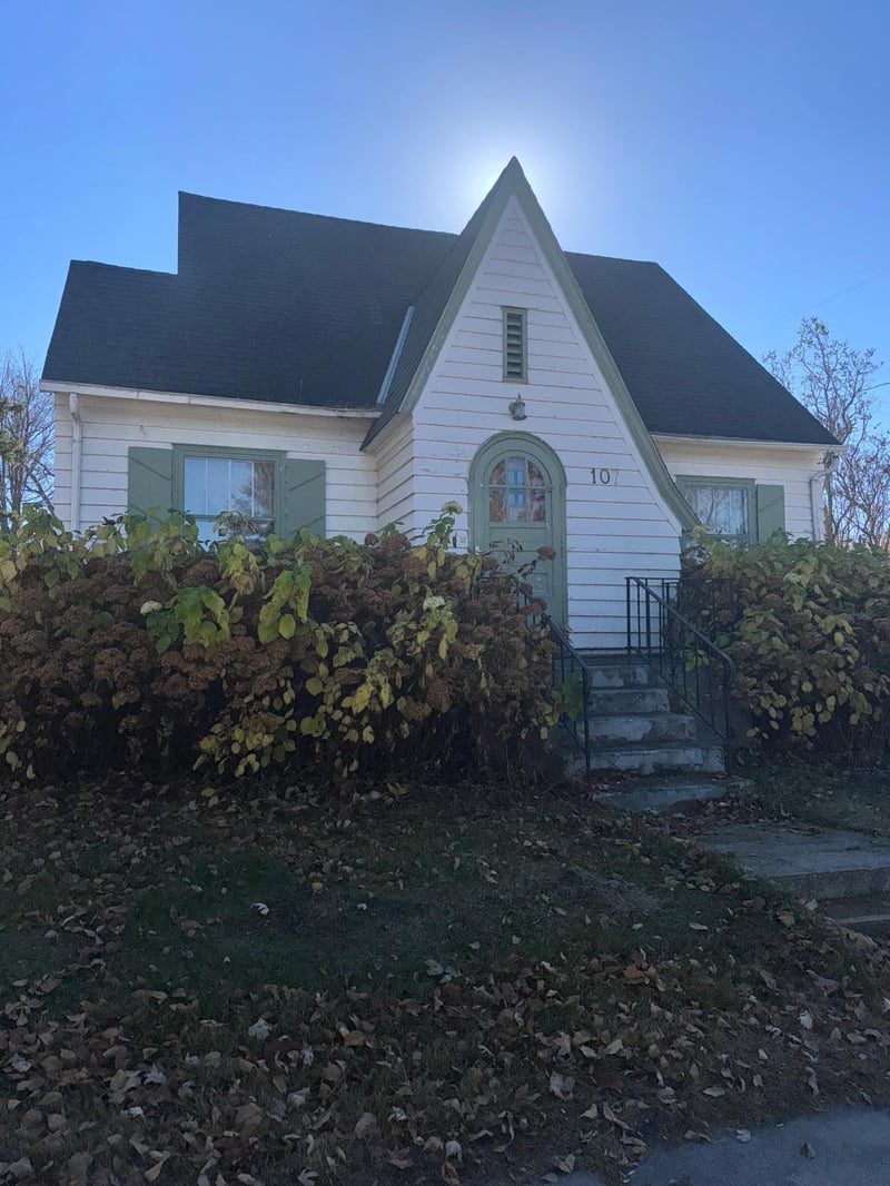 107 Main St E, Bertha, MN 56437