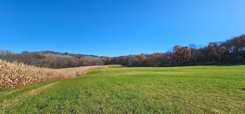 TBD Cty 15, Preston, MN 55965