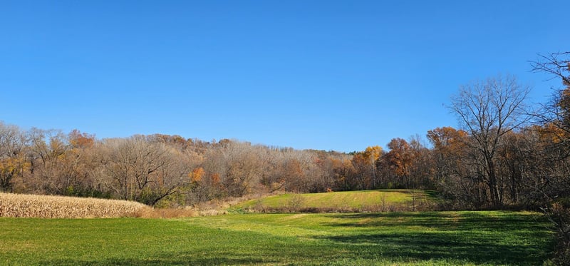 TBD Cty 15, Preston, MN 55965