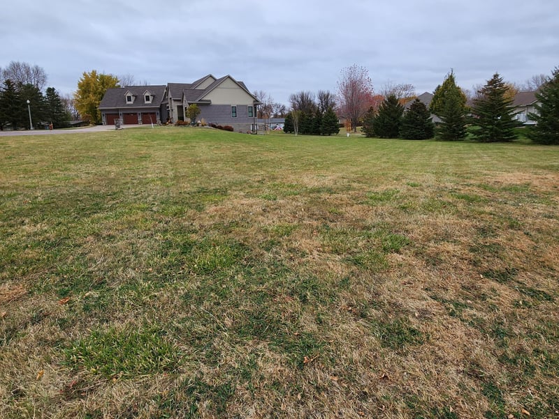 1502 Bayberry Ave W, Olivia, MN 56277