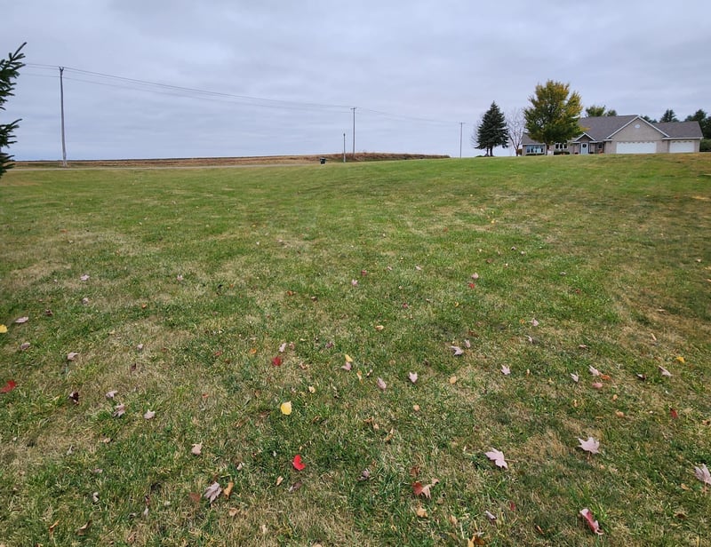 1502 Bayberry Ave W, Olivia, MN 56277