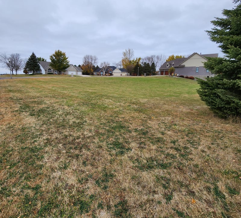 1502 Bayberry Ave W, Olivia, MN 56277