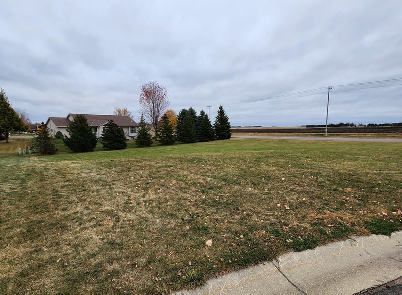 1502 Bayberry Ave W, Olivia, MN 56277