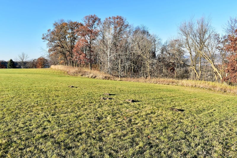 Lot 9 177th Ave, Wabasha, MN 55981