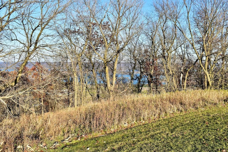 Lot 9 177th Ave, Wabasha, MN 55981