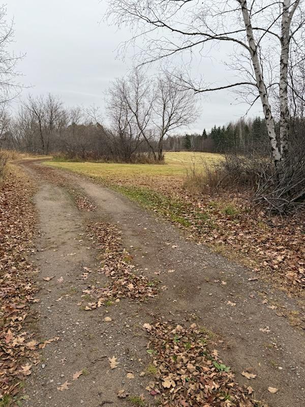 28002 Fox Ln, Palisade, MN 56469