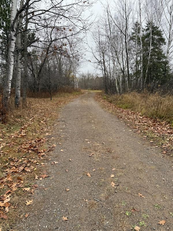 28002 Fox Ln, Palisade, MN 56469