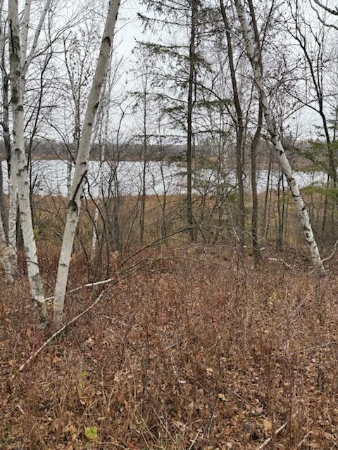 28002 Fox Ln, Palisade, MN 56469
