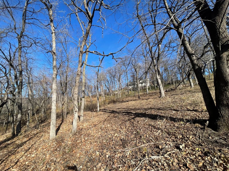 xxxx Riverview Rd, Eden Prairie, MN 55347