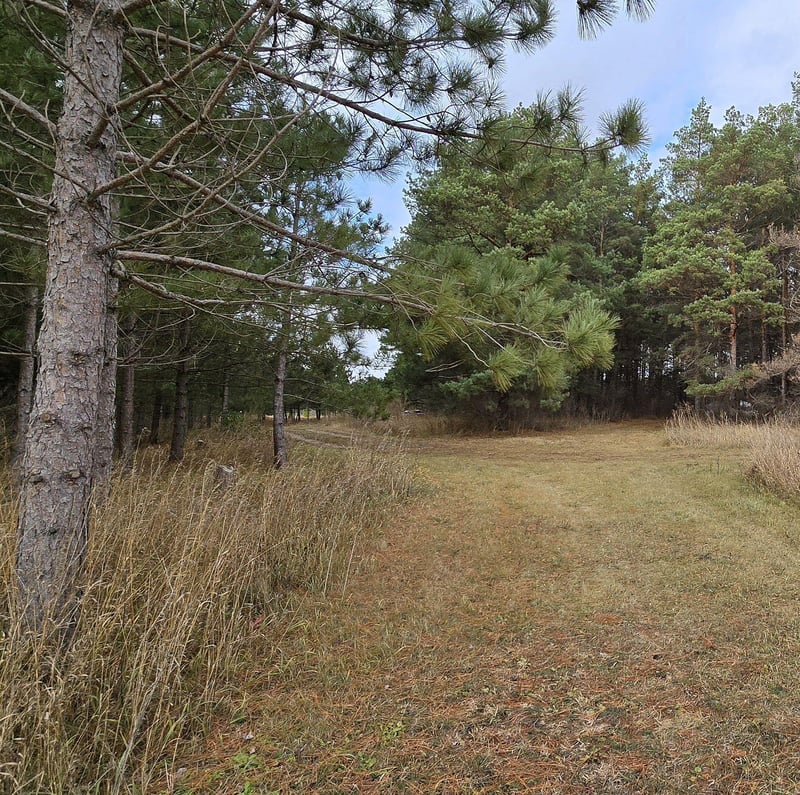 18840 370th St, Erhard, MN 56534