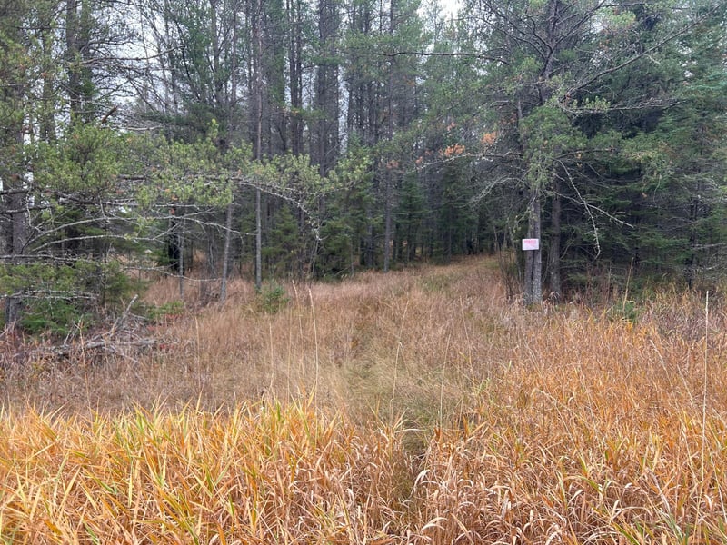TBD Town Line Rd, Aurora, MN 55705