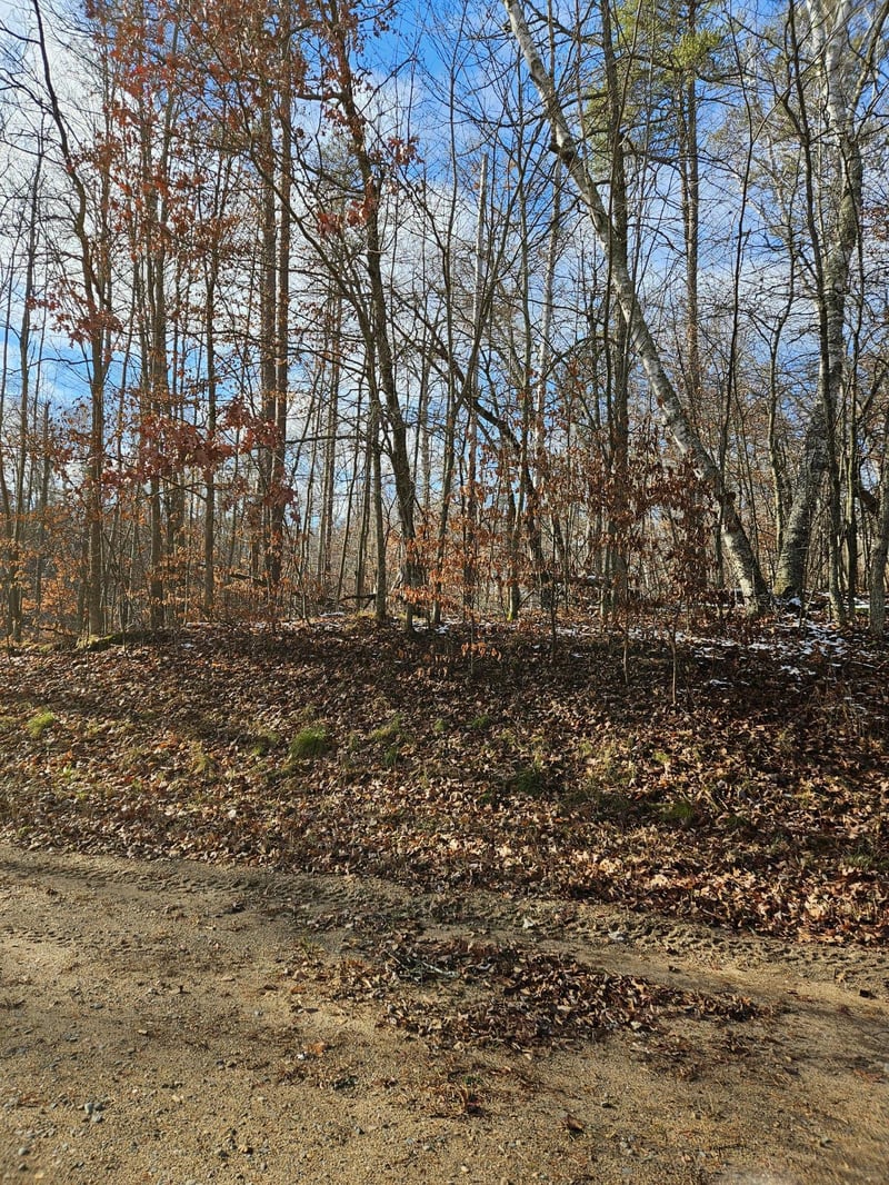 Lot 1 Raccoon Ln, Breezy Point, MN 56472