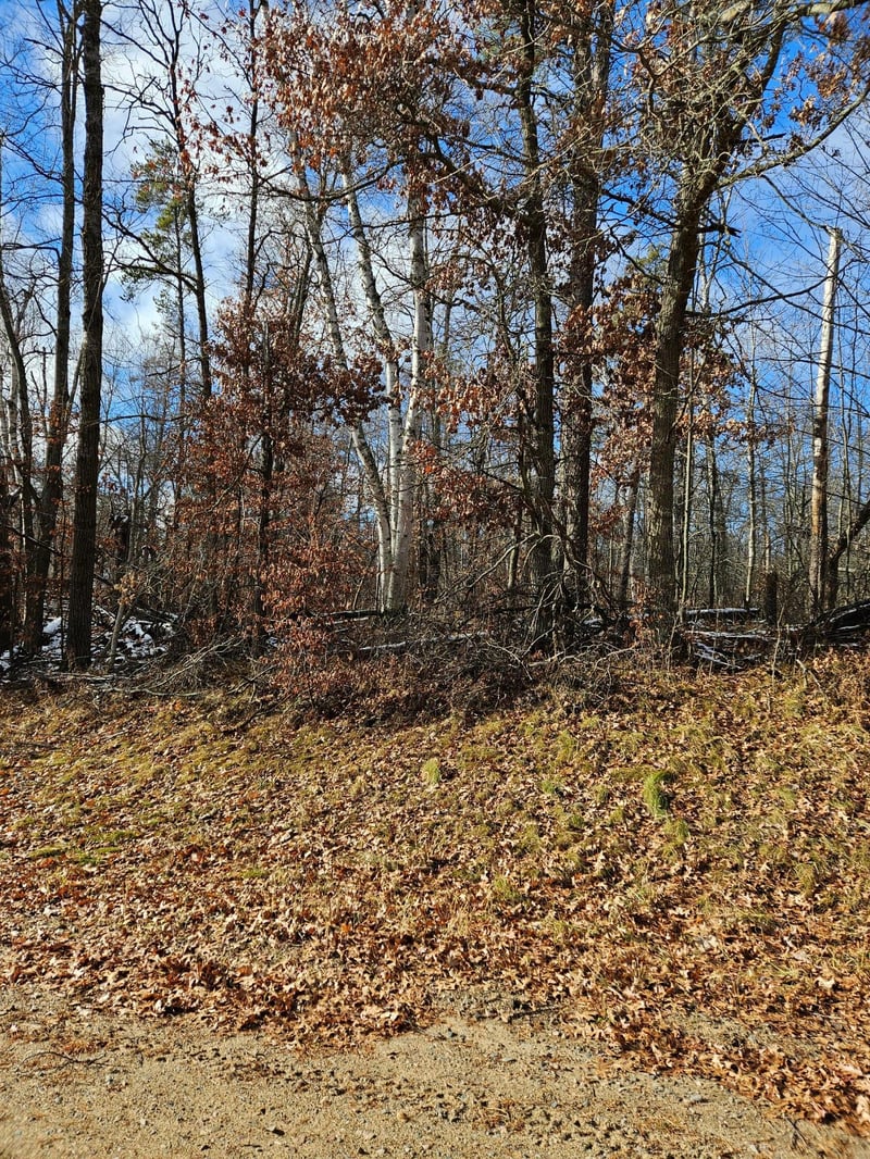 Lot 1 Raccoon Ln, Breezy Point, MN 56472