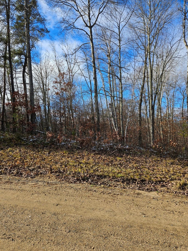 Lots 3 - 4 Raccoon Ln, Breezy Point, MN 56472