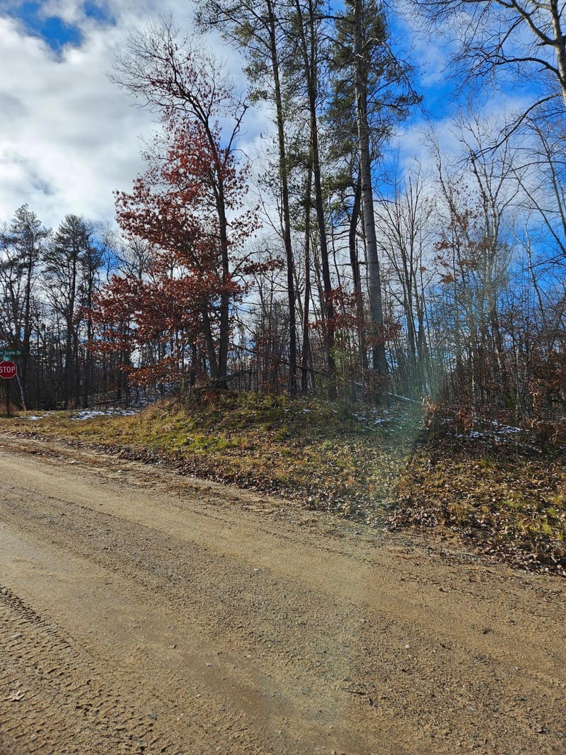 Lots 3 - 4 Raccoon Ln, Breezy Point, MN 56472