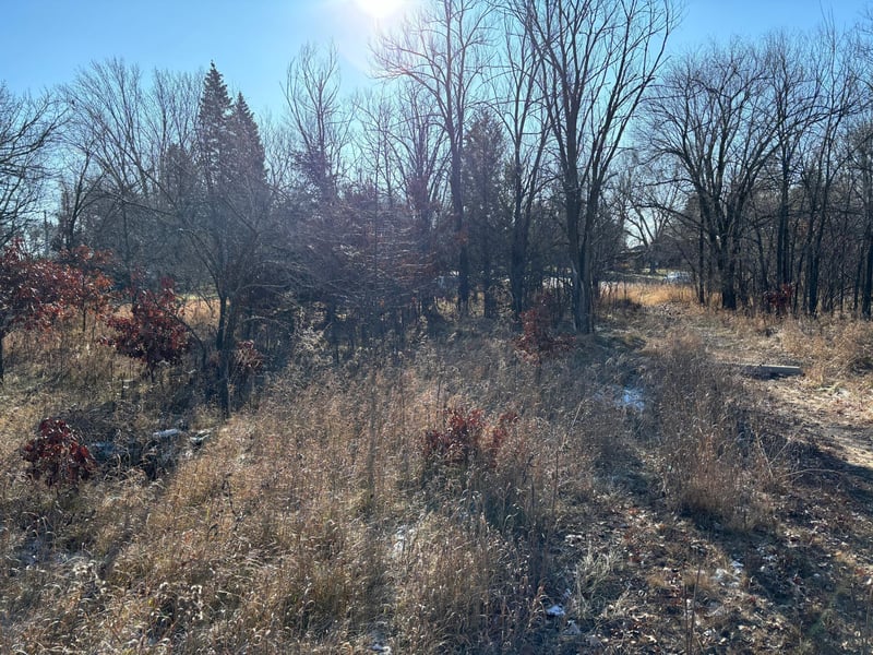 199 High Dr, Sartell, MN 56377