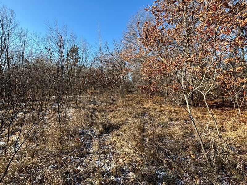 201 High Dr, Sartell, MN 56377