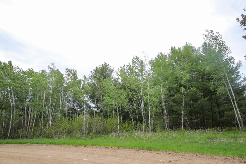 TBD Portage Cir, Browerville, MN 56438