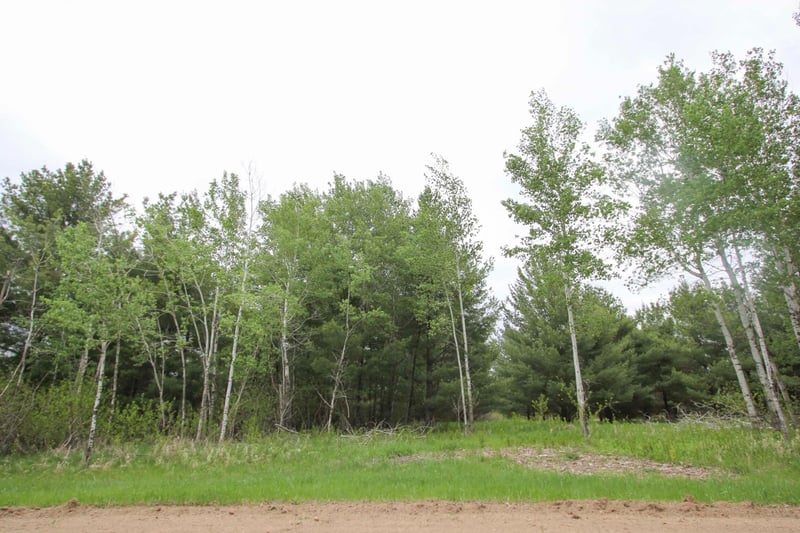 TBD Portage Cir, Browerville, MN 56438